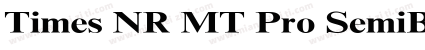 Times NR MT Pro SemiBold字体转换